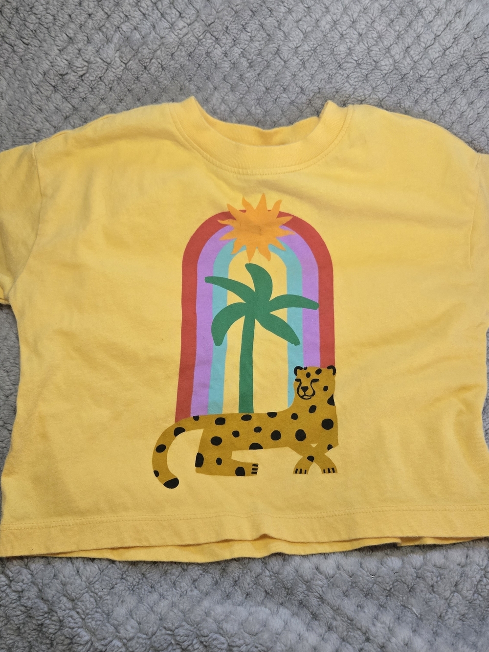 Hanna Andersson Tropical Animal Leopard Rainbow Palm Tree Graphic Tee (85) 2T